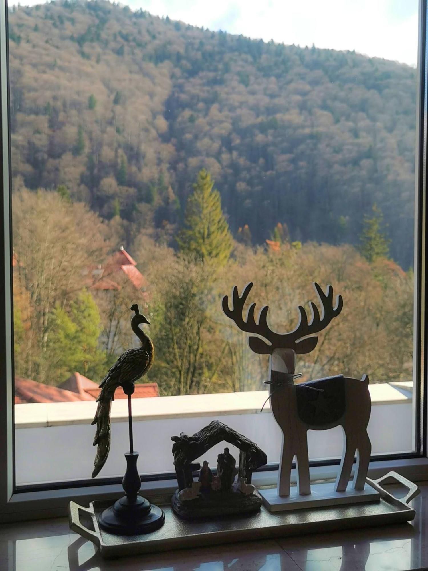 Central Park View Sinaia Exterior foto